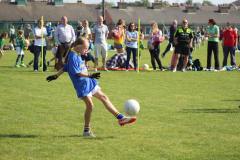 PWLFB-2014-9