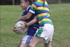 Cellbridge-GAA-2