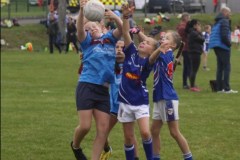 Cellbridge-GAA-8