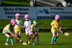 Passage West GAA Parish Leagues 2025: Picture Chani Anderson