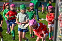 Passage West GAA Parish Leagues 2025: Picture Chani Anderson
