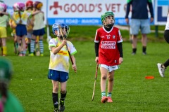 Passage West GAA Parish Leagues 2025: Picture Chani Anderson