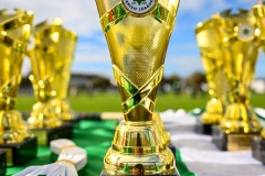 Passage West GAA Parish Leagues 2025: Picture Chani Anderson