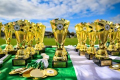 Passage West GAA Parish Leagues 2025: Picture Chani Anderson