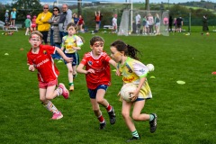 Passage West GAA Parish Leagues 2025: Picture Chani Anderson