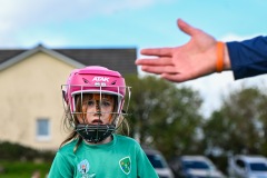 Passage West GAA Parish Leagues 2025: Picture Chani Anderson
