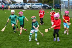 Passage West GAA Parish Leagues 2025: Picture Chani Anderson