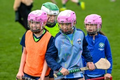 Passage West GAA Parish Leagues 2025: Picture Chani Anderson