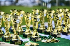 Passage West GAA Parish Leagues 2025: Picture Chani Anderson