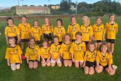 Francis Fermoy U8