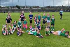 0cdcb5e8-cdae-4bb2-b092-fd6bbfa8224c